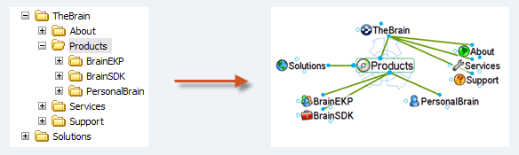carte dynamique des informations avec The Brain